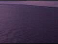 Webcam AIDAperla