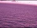 Webcam AIDAperla