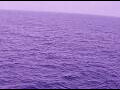 Webcam AIDAperla