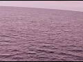 Webcam AIDAperla
