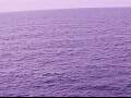 Webcam AIDAperla