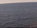 Webcam AIDAperla