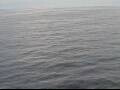 Webcam AIDAperla