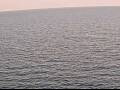 Webcam AIDAperla