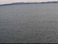 Webcam AIDAperla