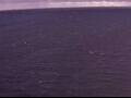 Webcam AIDAperla
