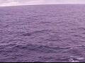 Webcam AIDAperla