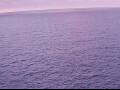 Webcam AIDAperla