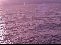 Webcam AIDAperla