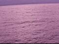 Webcam AIDAperla