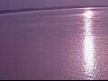 Webcam AIDAperla