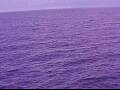 Webcam AIDAperla