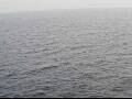 Webcam AIDAperla