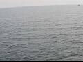 Webcam AIDAperla