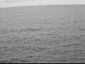 Webcam AIDAperla