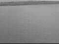 Webcam AIDAperla