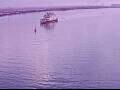 Webcam AIDAperla