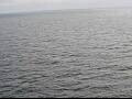 Webcam AIDAperla