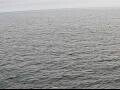 Webcam AIDAperla