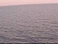 Webcam AIDAperla