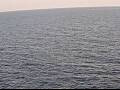 Webcam AIDAperla