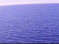 Webcam AIDAperla
