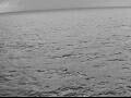 Webcam AIDAperla