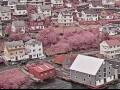 Webcam AIDAperla
