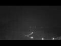 Webcam Cala Agulla (Majorca)