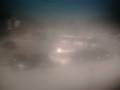 Webcam Andernach