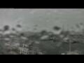 Webcam Tejn (Bornholm)