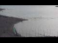 Webcam Tel Aviv