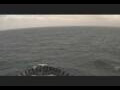 Webcam Mein Schiff 6