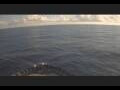 Webcam Mein Schiff 6