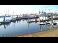 Webcam Delfzijl