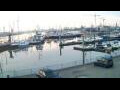Webcam Delfzijl