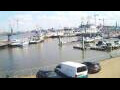 Webcam Delfzijl
