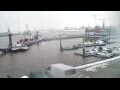 Webcam Delfzijl