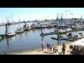 Webcam Delfzijl