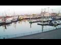 Webcam Delfzijl
