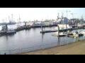 Webcam Delfzijl