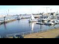 Webcam Delfzijl