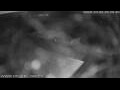 Webcam Bütgenbach