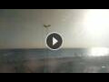 Webcam Conil de la Frontera