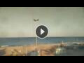 Webcam Conil de la Frontera