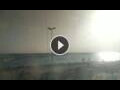 Webcam Conil de la Frontera
