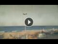 Webcam Conil de la Frontera