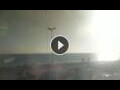Webcam Conil de la Frontera