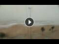 Webcam Conil de la Frontera