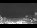 Webcam Cala Rajada (Majorca)